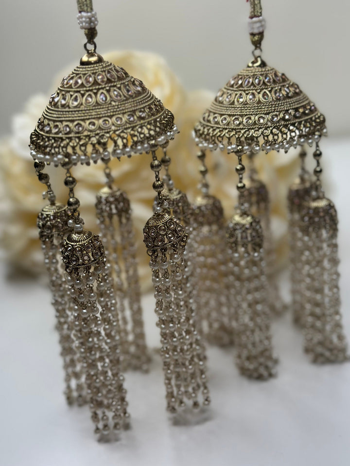 Izhaar Wedding Kaleera / Unique Kaleera / Traditional Style Weeding Kaleera / Women Hand Hanging Kaleere For Bridal